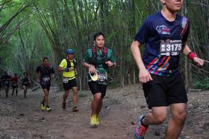 BIB: 3175, 3174, 1301, 4211
                            <button type="button" onclick="openModal(4103631)" class="btn btn-primary btn-sm float-right btn-popup" data-toggle="modal" data-target=".modal-high-quality">
                        <i class="fas fa-shopping-cart"></i> Add to Cart
                    </button>
                                            <button type="button" onclick="isThisMe(4103631, true)" class="btn btn-success btn-sm float-right btn-popup btn-isme hidden" data-toggle="tooltip" data-placement="bottom" title="นี่คือรูปของคุณใช่ไหม คลิกที่นี่เพื่อเอาเข้าอัลบั้ม">
                        <i class="fas fa-plus"></i> Add to album
                    </button>
                    <button type="button" onclick="isThisMe(4103631, false)" class="btn btn-warning btn-sm float-right btn-popup btn-isnotme hidden">
                        <i class="fas fa-ban"></i> Remove from album
                    </button>